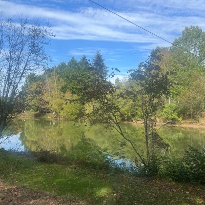 Le Foret 1