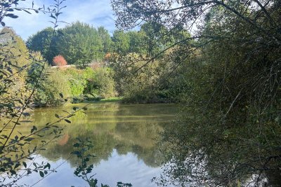 Le Foret 6