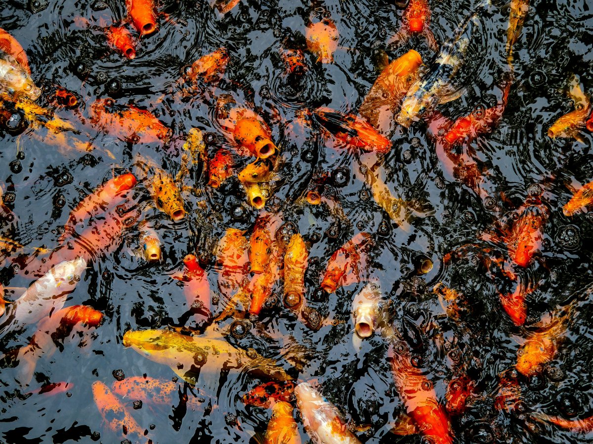 william-warby-U8-tW5uVVcE-unsplash